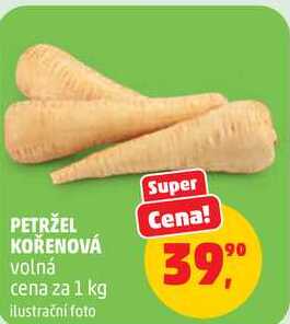 PETRŽEL KOŘENOVÁ, 1 kg