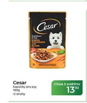 Cesar kapsičky pro psy 100g