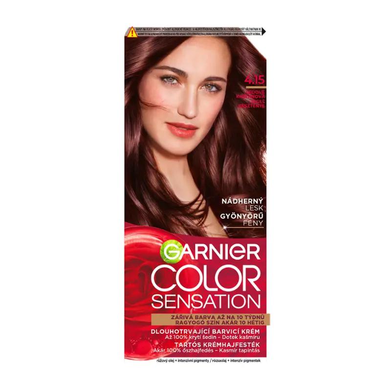 Garnier Barva na vlasy Color Sensation 4.15 ledově kaštanová, 1 ks ROSSMANN