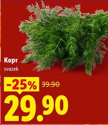 Kopr, svazek