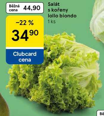 Salát s kořeny lollo biondo, 1 ks 