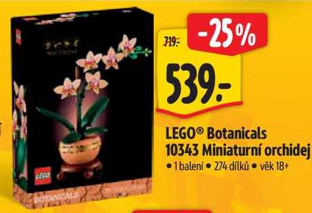 LEGO® Botanicals 10343 Miniaturní orchidej
