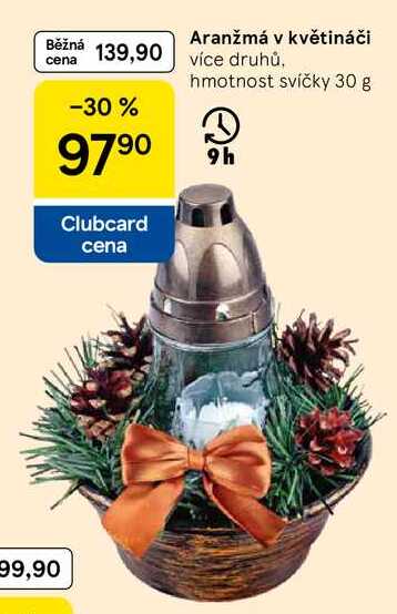 Aranžmá v květináči více druhů, hmotnost svíčky 30 g Tesco