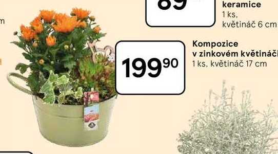 Kompozice v zinkovém květináči, 1 ks. květináč 17 cm