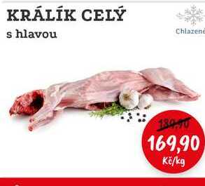 KRÁLÍK CELÝ s hlavou 1kg