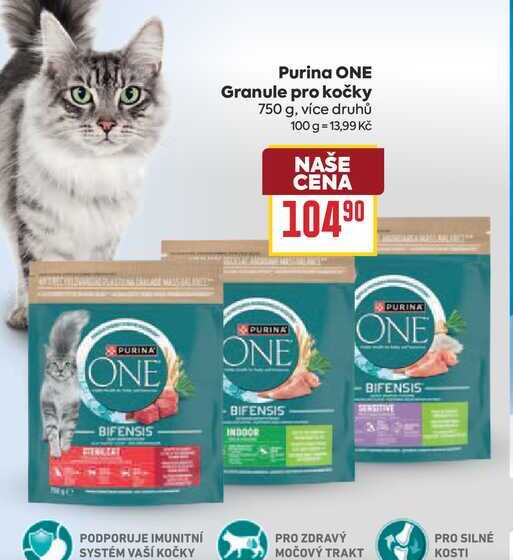 Purina ONE Granule pro kočky 750 g