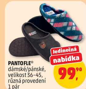 PANTOFLE dámské/pánské, velikost 36-45, 1 pár
