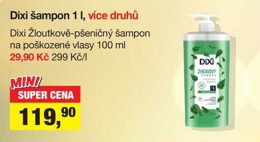 Dixi šampon 1 l Šlak