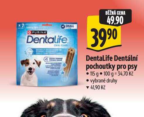 DentaLife Dentální pochoutky pro psy 115 g