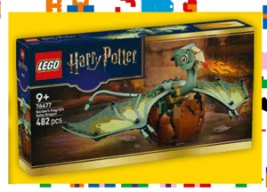 LEGO® Harry Potter™ 76477 Norbert: Hagridovo dračí mládě Tesco