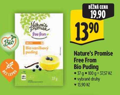 Nature's Promise Free From Bio Puding 37 g