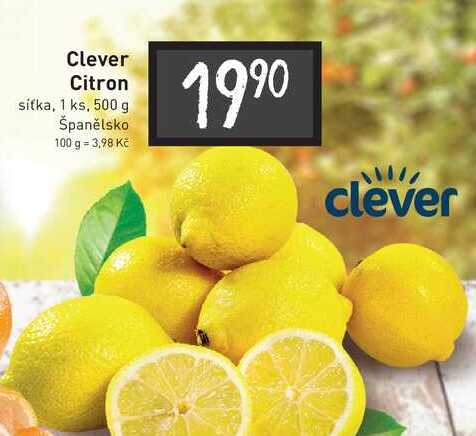 Clever Citron sítka, 1 ks, 500 g 