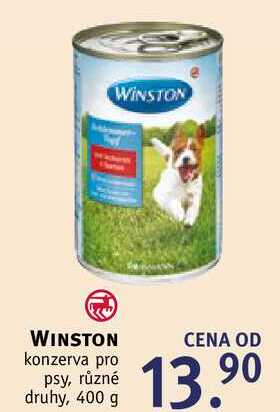 hunderampe fr pool AWSUM 150x100x15 cm Hunderampe Aufblasbar Hund Wasser Dog Ramp Dog Flo   techstudio.ch