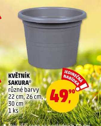 KVĚTNÍK SAKURA, 1 ks