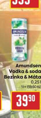 Amundsen Vodka & soda Bezinka & Máta 0,25l v akci