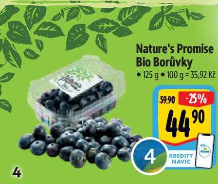 Nature's Promise Bio Borůvky 125 g 