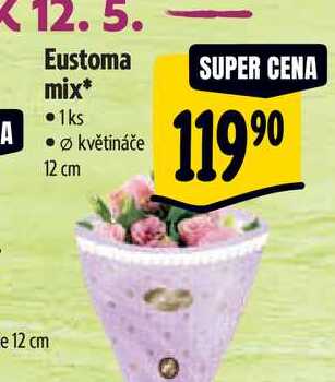  . Eustoma mix, pr. květináče 12 cm  