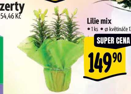   Lilie mix 1ks 
