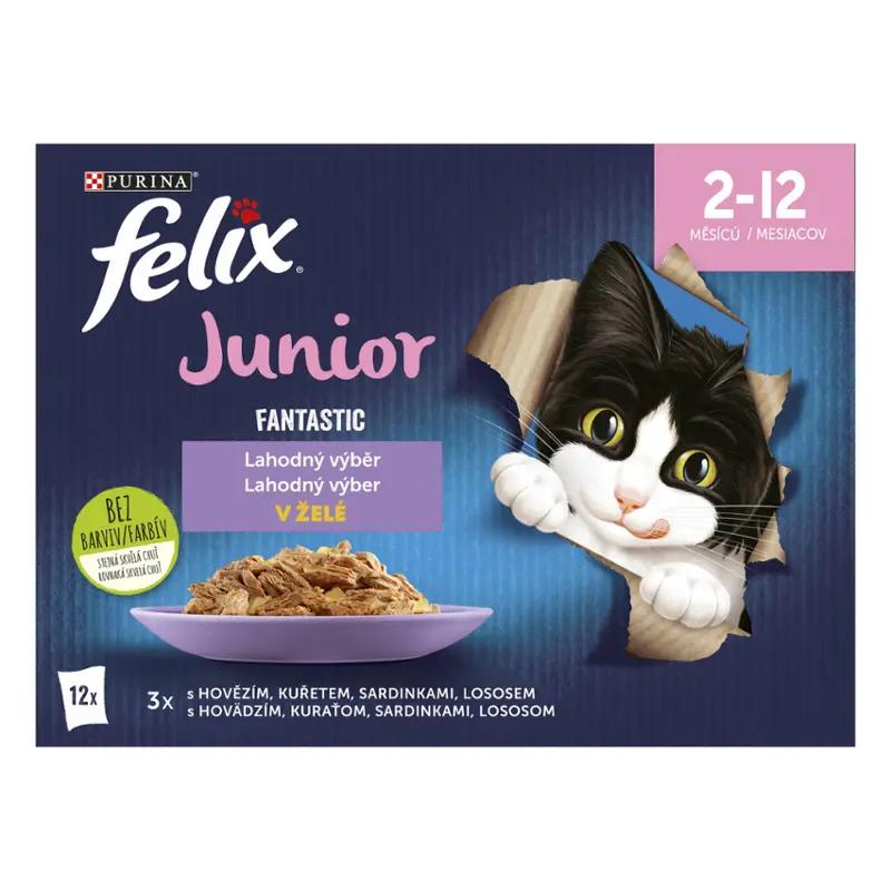 Felix Fantastic Junior lahodný výběr 12x 85 g, 1020 g