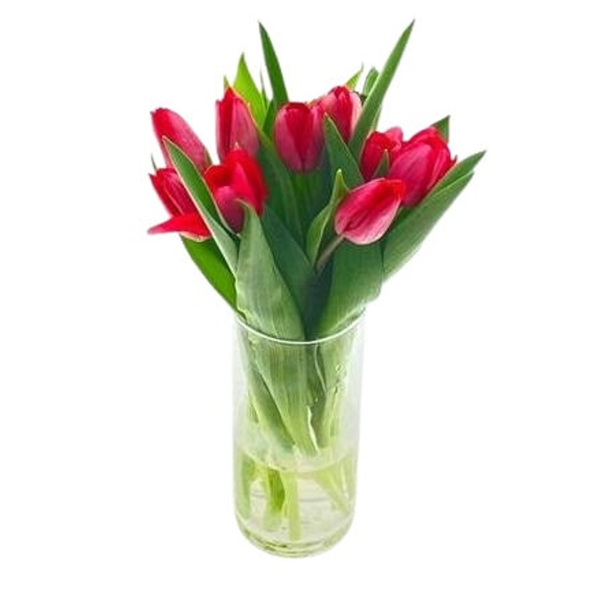 Tulipány červené