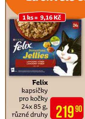 Felix kapsičky pro kočky 24x 85 g, různé druhy 