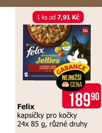 Felix Jellies kapsičky pro kočky 24x 85 g, různé druhy 