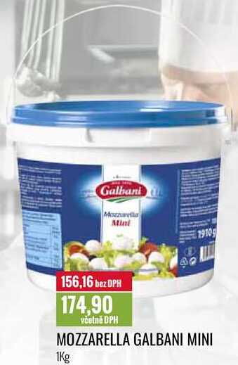 MOZZARELLA GALBANI MINI 1Kg 