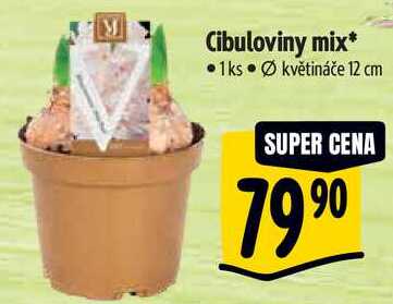 Cibuloviny mix