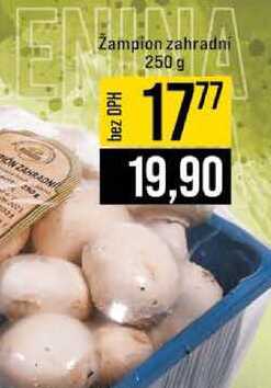 Žampion zahradní 250 g
