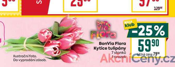 BonVia Flora Kytice tulipány 7 stonků 1svazek 