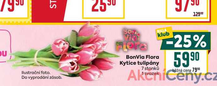 BonVia Flora Kytice tulipány 7 stonků svazek 