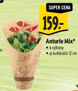 Anturie Mix
