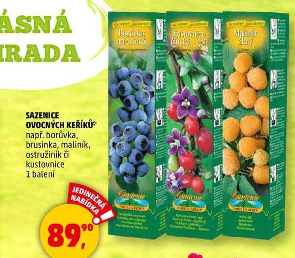 SAZENICE OVOCNÝCH KEŘÍKŮ např. borůvka, brusinka, maliník, ostružiník či kustovnice, 1 balení  
