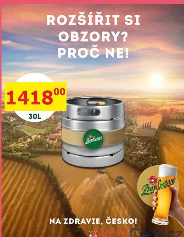 Zlatý bažant, světlé pivo 30L sud