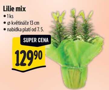 Lilie mix 