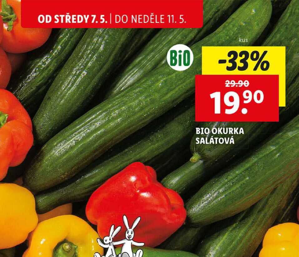 BIO OKURKA SALÁTOVÁ, 1 ks