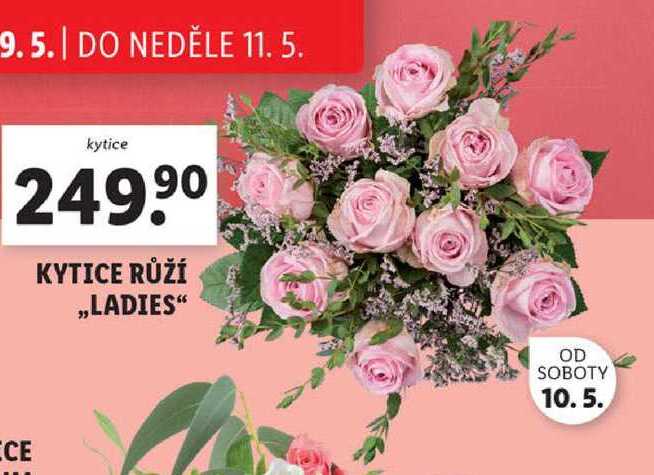 KYTICE RŮŽÍ „LADIES" 