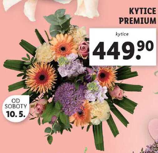 KYTICE PREMIUM 
