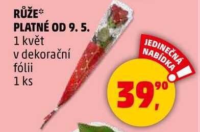 RŮŽE, 1 květ v dekorační fólii  