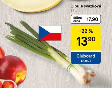 Cibule svazková, 1 ks  
