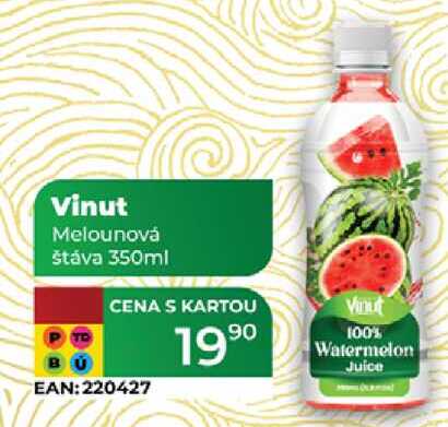 Vinut Melounová štáva 350ml 