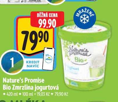   Nature's Promise Bio Zmrzlina jogurtová  420 ml 