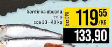 Sardinka obecná celá cca 30-40 ks
