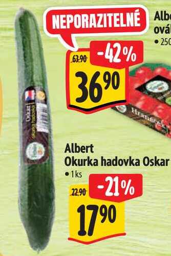 Albert Okurka hadovka Oskar, 1 ks
