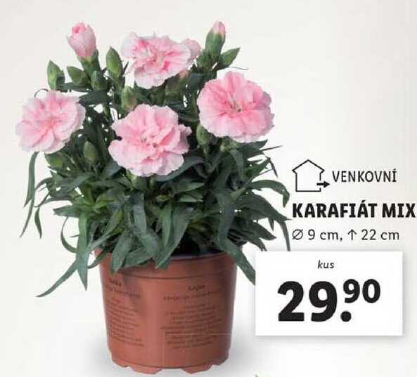 KARAFIÁT MIX 