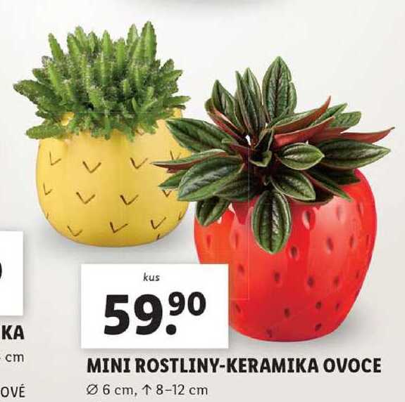 MINI ROSTLINY-KERAMIKA OVOCE