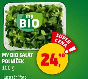 MY BIO SALÁT POLNÍČEK, 100 g 