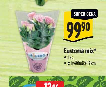   Eustoma mix, pr. květináče 12 cm 