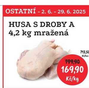 HUSA S DROBY A 4,2 kg mražená (cena za kg) 