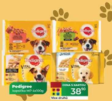 Pedigree kapsička MP 4x100g  